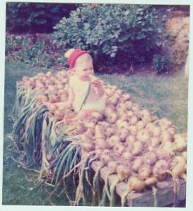russell on onion crop aug 1975.bmp