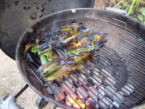 SAMSUNG CAMERA PICTURES