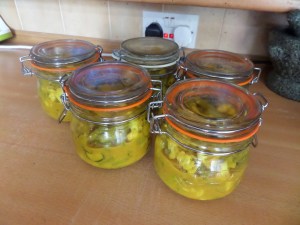 SAMSUNG CAMERA PICTURES