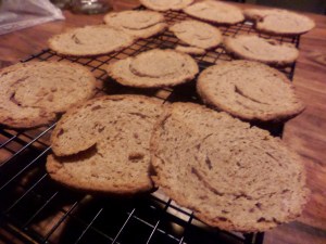 SAMSUNG CAMERA PICTURES