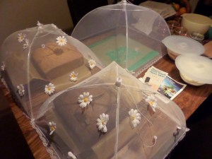 SAMSUNG CAMERA PICTURES