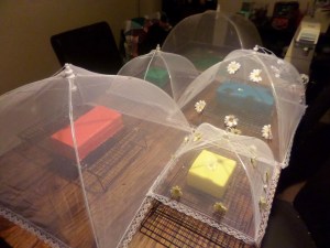 SAMSUNG CAMERA PICTURES