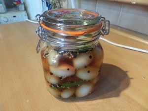 SAMSUNG CAMERA PICTURES