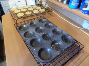 SAMSUNG CAMERA PICTURES