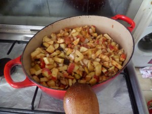 SAMSUNG CAMERA PICTURES