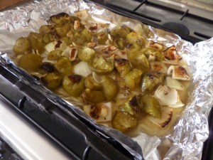 SAMSUNG CAMERA PICTURES