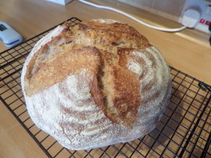 SAMSUNG CAMERA PICTURES