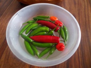 SAMSUNG CAMERA PICTURES