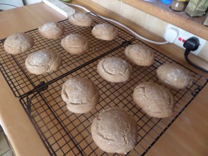 SAMSUNG CAMERA PICTURES