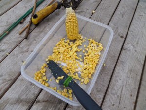 SAMSUNG CAMERA PICTURES