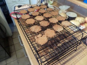 SAMSUNG CAMERA PICTURES