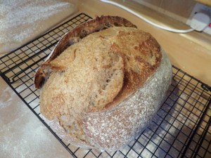 SAMSUNG CAMERA PICTURES