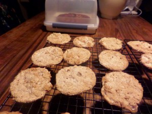 SAMSUNG CAMERA PICTURES