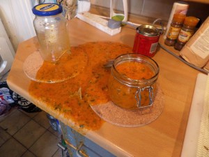 SAMSUNG CAMERA PICTURES