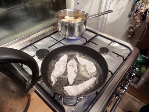 SAMSUNG CAMERA PICTURES