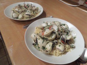 SAMSUNG CAMERA PICTURES