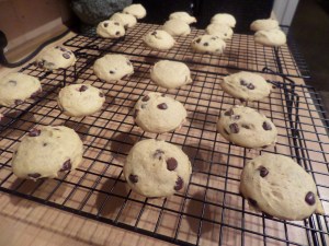 SAMSUNG CAMERA PICTURES