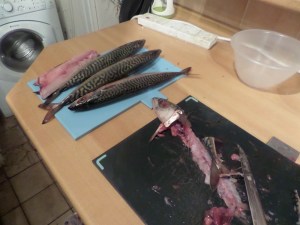 SAMSUNG CAMERA PICTURES