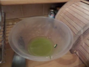 SAMSUNG CAMERA PICTURES