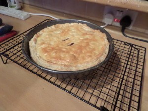 SAMSUNG CAMERA PICTURES