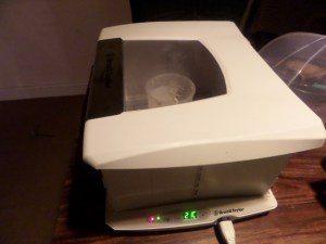 SAMSUNG CAMERA PICTURES