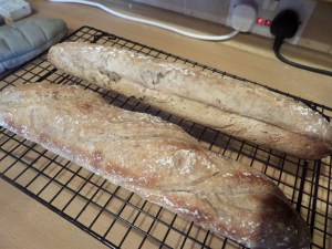 SAMSUNG CAMERA PICTURES