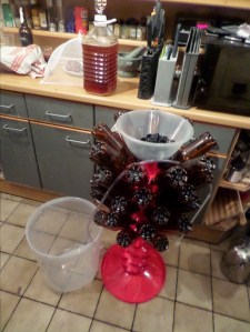 SAMSUNG CAMERA PICTURES