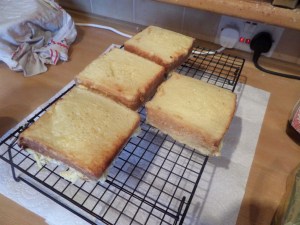 SAMSUNG CAMERA PICTURES