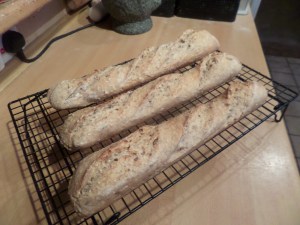 SAMSUNG CAMERA PICTURES