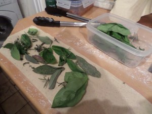 SAMSUNG CAMERA PICTURES