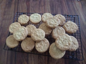 SAMSUNG CAMERA PICTURES