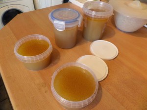 SAMSUNG CAMERA PICTURES