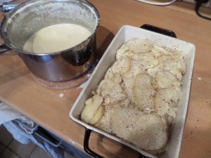 SAMSUNG CAMERA PICTURES