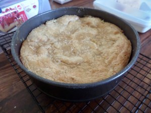 SAMSUNG CAMERA PICTURES