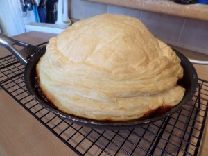 SAMSUNG CAMERA PICTURES