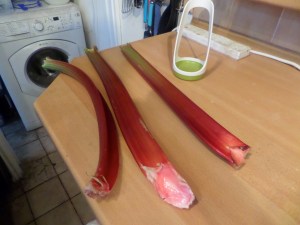 SAMSUNG CAMERA PICTURES