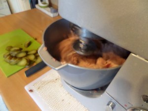 SAMSUNG CAMERA PICTURES