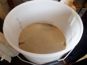 SAMSUNG CAMERA PICTURES