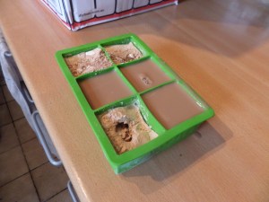 SAMSUNG CAMERA PICTURES