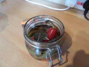 SAMSUNG CAMERA PICTURES