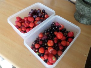 SAMSUNG CAMERA PICTURES