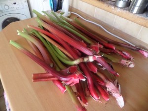 SAMSUNG CAMERA PICTURES