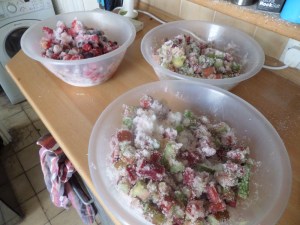 SAMSUNG CAMERA PICTURES