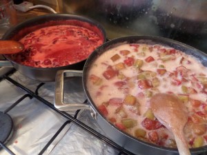 SAMSUNG CAMERA PICTURES