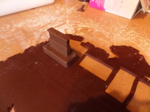 SAMSUNG CAMERA PICTURES