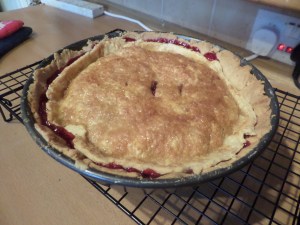 SAMSUNG CAMERA PICTURES